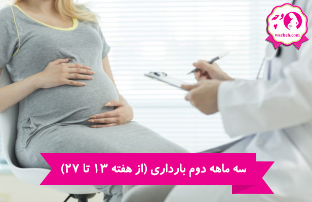 سه ماهه دوم بارداری (از هفته 13 تا 27)